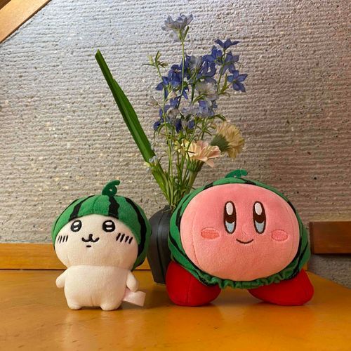 🍉