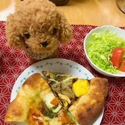 おひさしぶり　だね　　　きょうは　ぴざ　ぱーてぃ　だよ