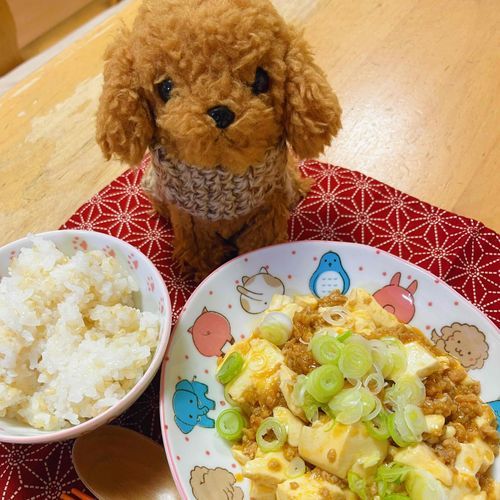 おまちどお　　　ままの　つくった　まぼ　どうふ　だよ　しぇいしぇい