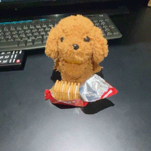 おひさしぶり　だね
ぱぷ　は　これから　ままと　りょこう　だよ
これは　しゅっぱつ　まえ　の　びすこ