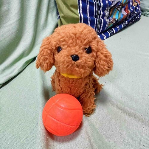 つぎが　あるもんね　　ふぁいてぃん