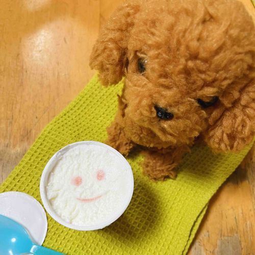 おひさしぶり　だね
みんなが　まってる　って　つうち　きて　はぴ　だよ
とっておき　の　にこにこ　ぱなっぷ　みせて　あげる