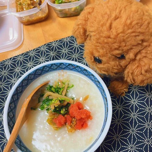 おひさしぶり　だねえ
ななくさ　の　おかゆ　はじめさせて　もらってるよ

まま　が　ぷれまむ　に　して　くれた　から　これから　おしゃしん　いっぱい　のせれる　の　はぴ　だね