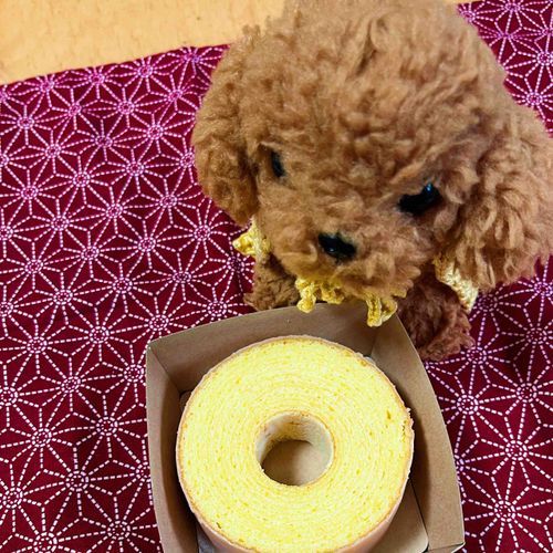 おひさしぶり　だねえ
ままの　おにいたん　が　かって　きて　くれた　ばむ　く　へん　だよ

まま　は　かふん　で　のく　あうと　してます