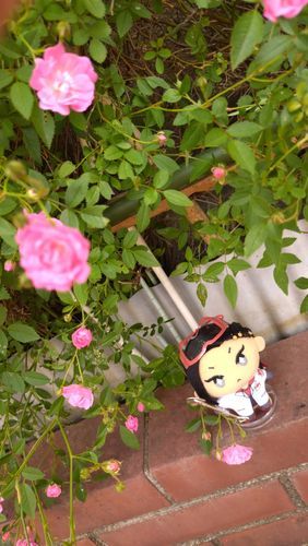 🌹