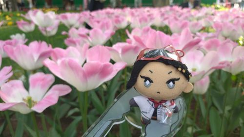 🌷