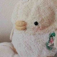 ぴっちゃん