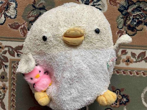 ぴっちゃんのお気に入りのぬいぐるみのぴーにゃちゃんだっぴー！☺️🐣