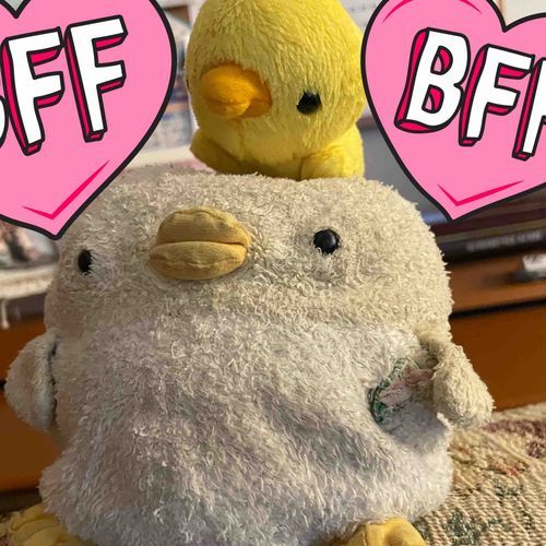 ぴっちゃんのお友達のぴよちゃんだっぴよよ🐣