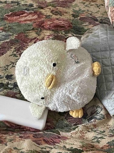 ずっこけぴっちゃん🐣