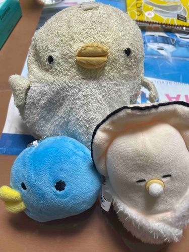 ぴっちゃんに新しいお友達できたっぴー！☺️🐣
かきくんとあおちゃんだっぴ🐣
