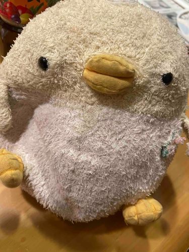 お久しぶりだっぴ☺️🐣