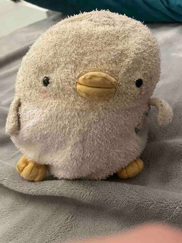 可愛すぎるぴっちゃん🐣