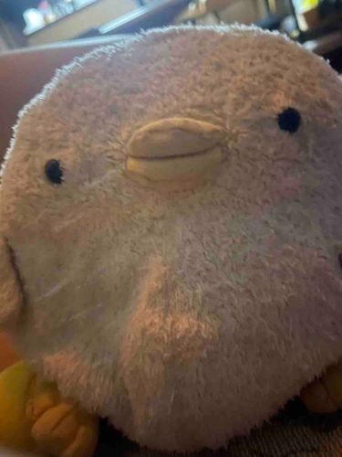 みんな元気ぴか？🐣