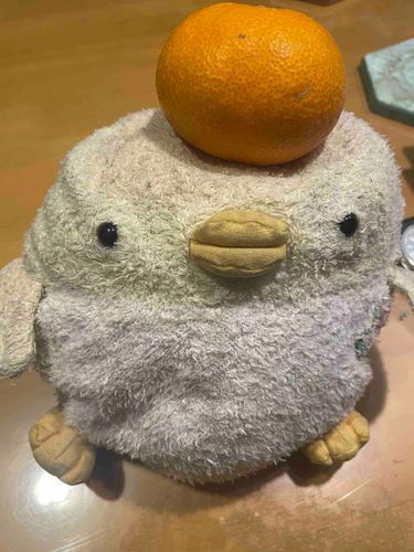 あけましておめでとうございますっぴよよ☺️🐣💓
