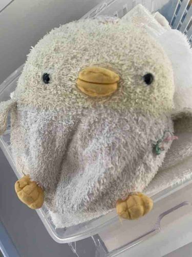 おひさしぶりだっぴー！！☺️🐣