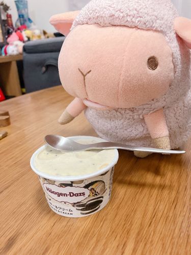こっそり買ってたの知ってるで
はよ食べよや𓌉◯𓇋

