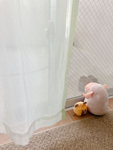 おうちを守るおしごと中やで
雨ふりそうやなあ