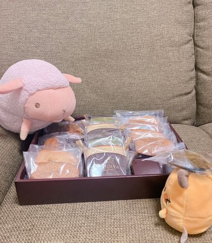 GODIVAのええお菓子もらったんやで
デデンネ、選ぶの早ないか？