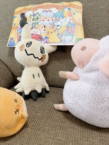 りすこ、たんじょうびなんやて
ポケモンセンターでお祝いしてもらったやで

…なんでミミッキュがとくいげなんや？