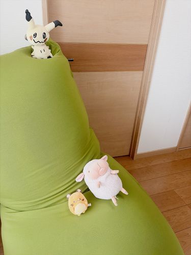 りすこがソファーを壊したので
ヨギボーがきたやで

バランスとるの、むずかしいでな
