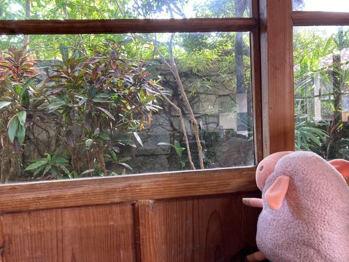 美味しいお蕎麦屋さんでパシャリ
秋がちかづいてる感じするなあ🍂