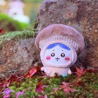 ペチワレ