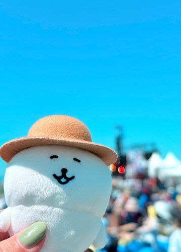 来たよ、フェス