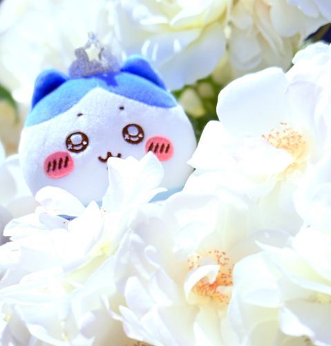 ここだよッ！