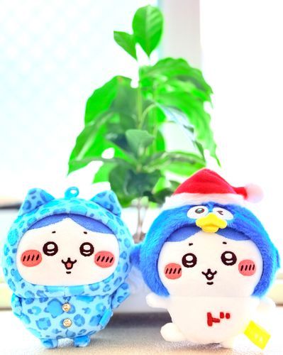 ド