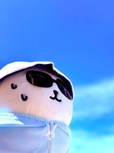 暑すぎる…