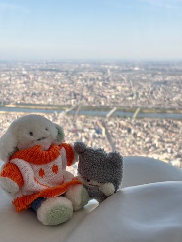 すかいつりーに、のぼったやんなぁ‼️
そらからみたまちなみは、きれいだったやんなぁ(ほがらか)

中ニは ちいかわガ いッパい イた ナ(ぴょちゃま)