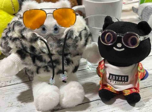 みなさん、お久しぶりです。本日はボクに親友ができたのでご紹介します。(さすけ)

チョリース⭐️‼️オレは「サイゾウ」って言うんで、以後シクヨロ😁(さいぞう)