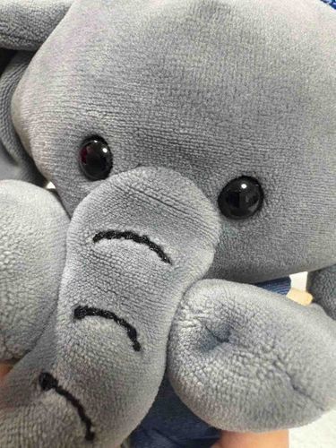 ぶりっこする、です(さごぞう)