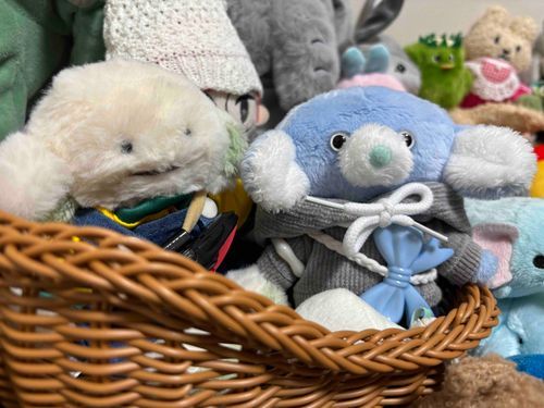 ブルブルくん、どこみてるやんなぁ？
…ブルブルくん…？おーい？
…こくうをみつめてて、はんのうがないやんなぁ
(ほがらか)