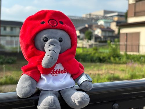 たこになった、たこぞうです(さごぞう)