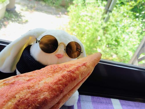 今日のお昼は明太子フランス。
美味しいけど硬いので、キャロルの前歯でも噛み切るのは一苦労なようです(笑)