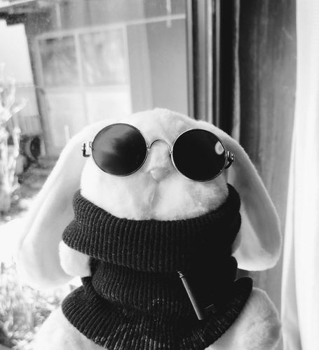 みんな久しぶり、キャロルだよ。
長い間投稿しなくてごめんね。
また少しずつ、写真とかを載せていこうかなって思ってるから、改めて仲良くしてくれると嬉しいな。