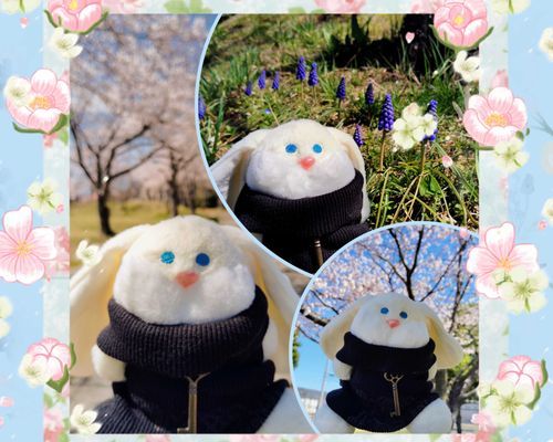 3月に公園の桜と一緒に。
人がいない時間帯を狙ったのですが、結構通る人がいて、ドキドキでした(笑)