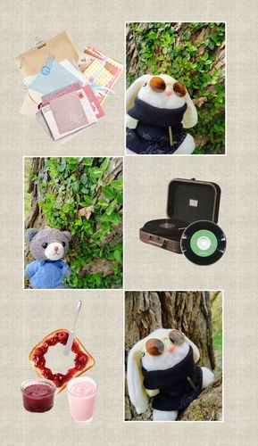 クマのしらすと蔦の絡まったかっこいい木の前でパシャリ。
木登りもしました。