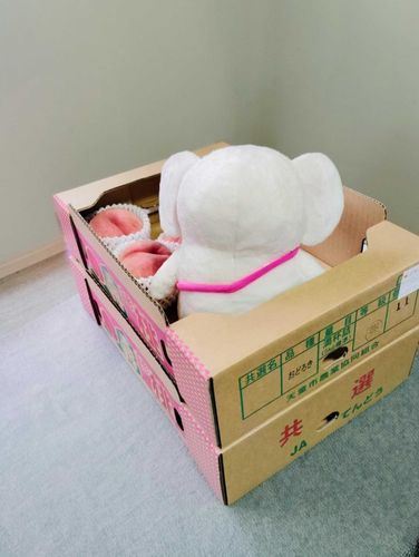 後ろ頭。
※背景は加工してあります※