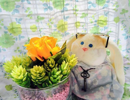 造花のお花とパシャリ✨
キャロルも興味津々でじーっと見つめています。