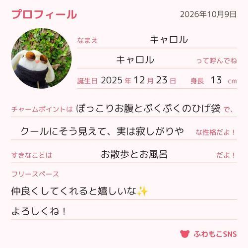 プロフィールを書いてみました。
プロフィール欄はありませんでしたが、お迎えするきっかけは、お店で目があったことで、大きな音、雷、洗濯機の脱水のぐるぐるは苦手なようです(笑)