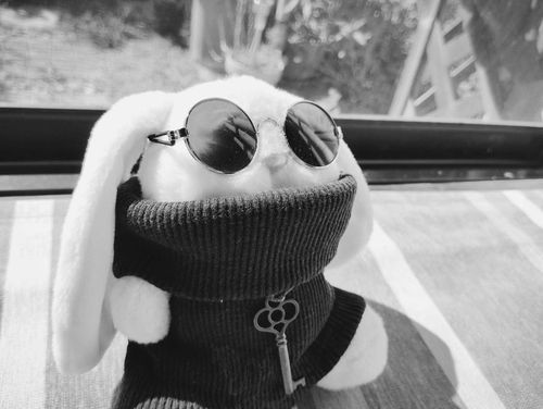 👻トリック・オア・トリート!🎃
今日はハロウィンですね。
と言っても、我が家は通常運転です。
「映画、レオンのレオンでーす、じゃだめかな？」
いや、似たような格好だけど、手抜きすぎない？
同じなのサングラスだけだし🤣