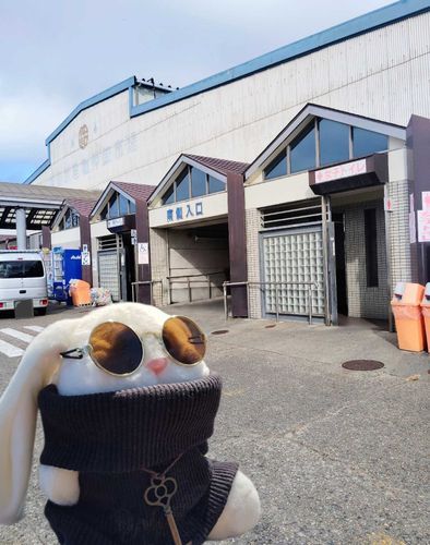 塩釜水産物仲卸市場に行ってきました。
夕食は、ここで買ったお刺身で海鮮丼です✨