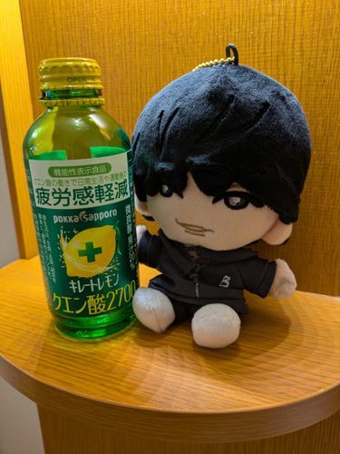 あーっと、えと、えー、どうもこんばんは、改めまして松村と申します。先ほどは主の手違いで失礼いたしました。ちょっとなんか主のカメラロールにわけのわからん写真がいっぱいあって、ハハ……

まあ気を取り直して自己紹介させていただきますね、僕はいわゆる“ストぬい”・“ほくぬい”と呼ばれる種族のぬいでして、ぬいの中では多弁な方とされている部類でございます。そんなわけでお前が喋ると長いだのうるさいだの言われて某青い鳥だったあのSNSでは主から利用制限をかけられておりましたが、この度ふわもこSNSが解禁となりまして僕松村ものびのびとSNSをさせていただける運びとなりました！ぜひたくさんのお宅のぬいの皆さんと仲良くなりたい所存です！え？ほくぬいのくせに社交的だなって？そりゃあぬいになったからには多少はね！

あ、ちなみにこれね、キレートレモン。ライブ後に飲むと疲れに効くとか効かないとか。皆さんも試してみてくださいね！

ほくぬい🦅