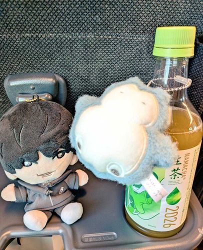 どうもほくぬいです🦅

どうやらこのお方はあまりお話が得意でないらしく……というかほぼ寝てるのでお話とかしないのか……とにかくあまりお話しない方なので代わりに紹介しますね。
主の家にいるカビゴンさんです。ゴンベくんのお友達ですね。ゴンベくんが進化したわけではないです。ゴンベくんと一緒で大きくなったり小さくなったりこけむしたりできるみたいです、そこはね、ぬいのご都合的なアレですよ。
これは先日東京に一緒におでかけしたときの1枚ですね。小さくなった方がいろいろ連れて行って(いろいろ美味しいものを食べさせて)もらえるからとこの姿らしいです。なんか羨ましいなそれ。おれもちびぬいとかになれない？

ほくぬい🦅