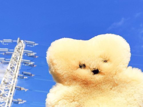 何ヶ月かまえの、すごく天気がよかった日！