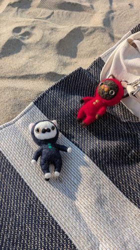 海いったよ