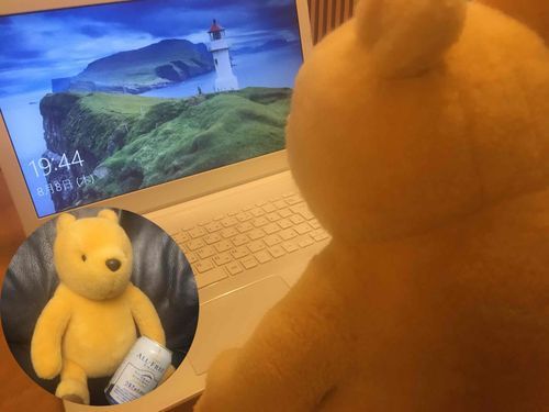 お仕事片付けないと！
もうひとりのプーはソファでくつろぎモードなのに…